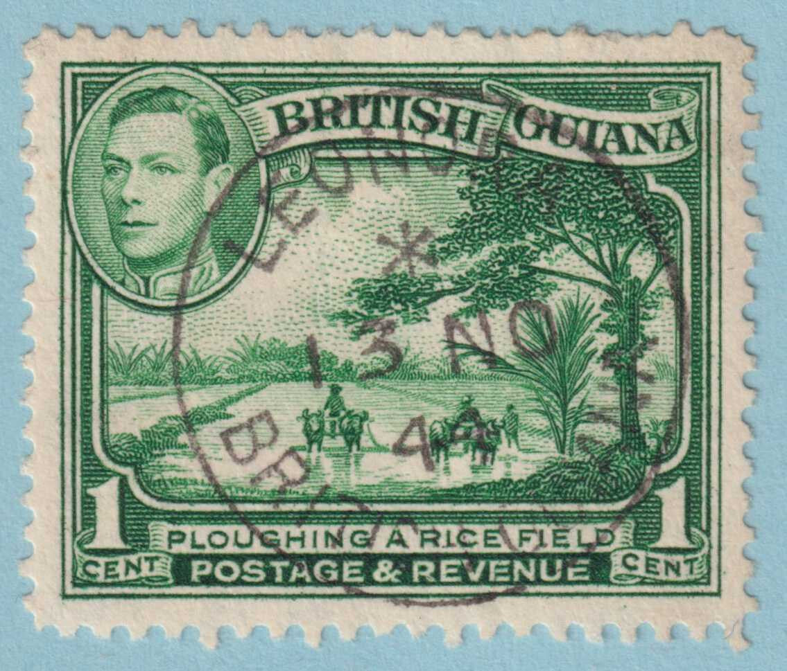 BRITISH GUIANA 230 USED - "LEONORA" CANCEL - NO FAULTS VERY FINE! - LNQ