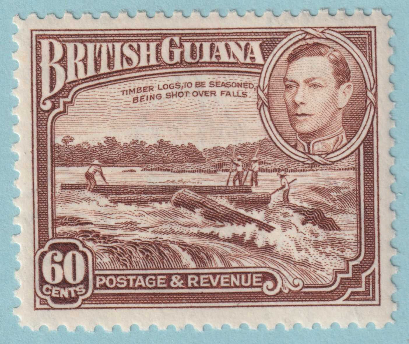 BRITISH GUIANA 237 MINT NEVER HINGED OG ** NO FAULTS VERY FINE! - LNY