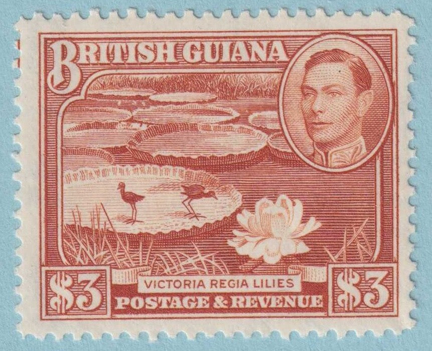 BRITISH GUIANA 241  MINT NEVER HINGED OG * NO FAULTS EXTRA FINE! - CFS