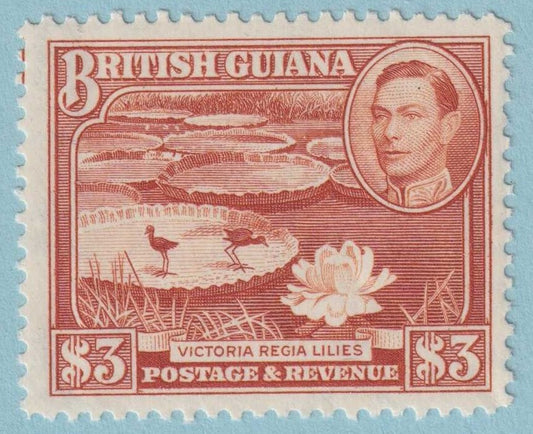 BRITISH GUIANA 241  MINT NEVER HINGED OG * NO FAULTS EXTRA FINE! - CFS