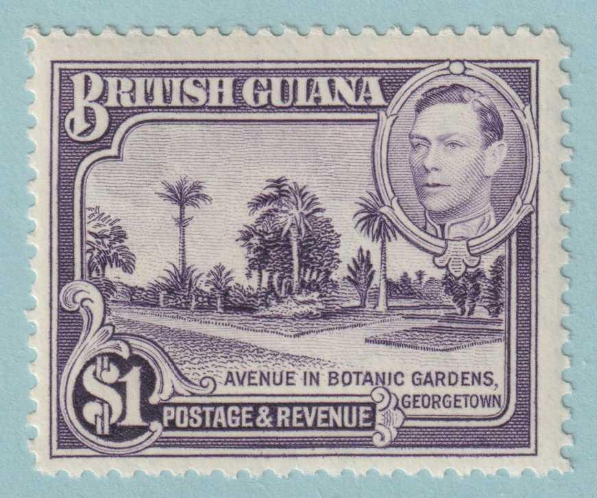 BRITISH GUIANA 239  MINT HINGED OG * NO FAULTS VERY FINE! - IFM