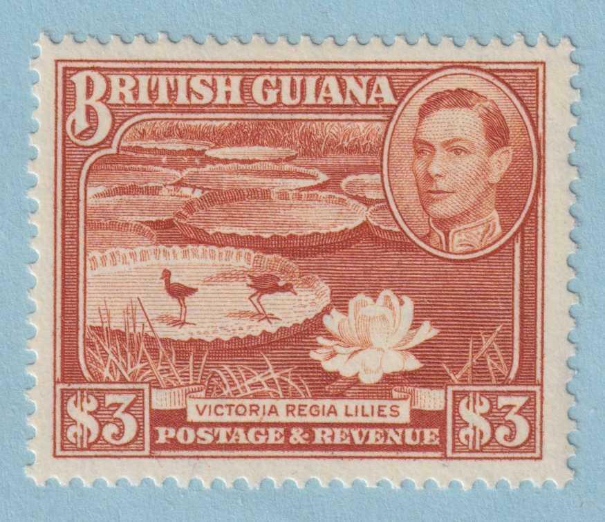 BRITISH GUIANA 241a  PERF 14X13  MINT HINGED OG * NO FAULTS VERY FINE! - HEL