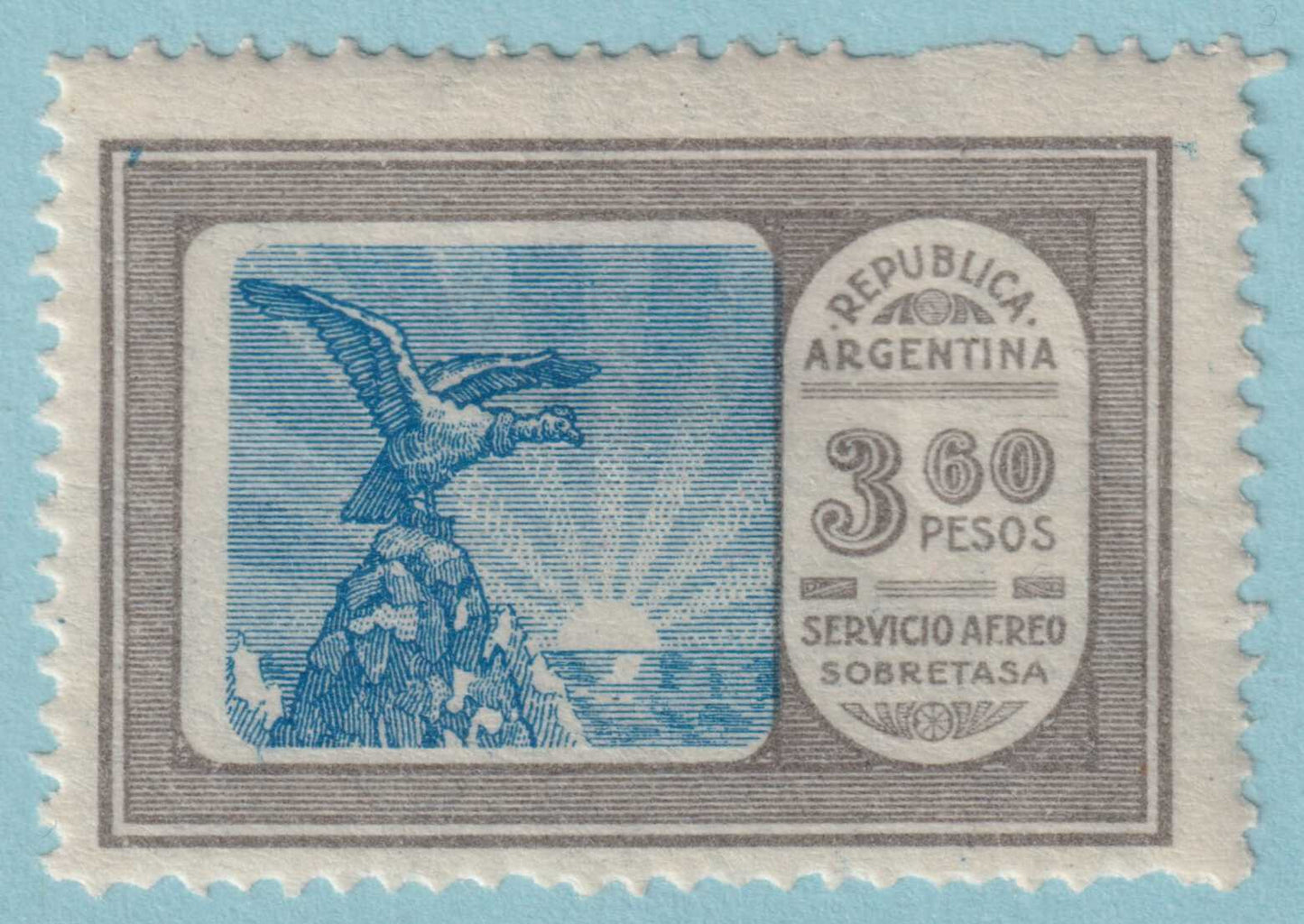 ARGENTINA C19 AIRMAIL  MINT HINGED OG * NO FAULTS VERY FINE! - KZP